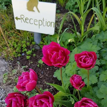 Gregans Castle 酒店 巴利瓦根