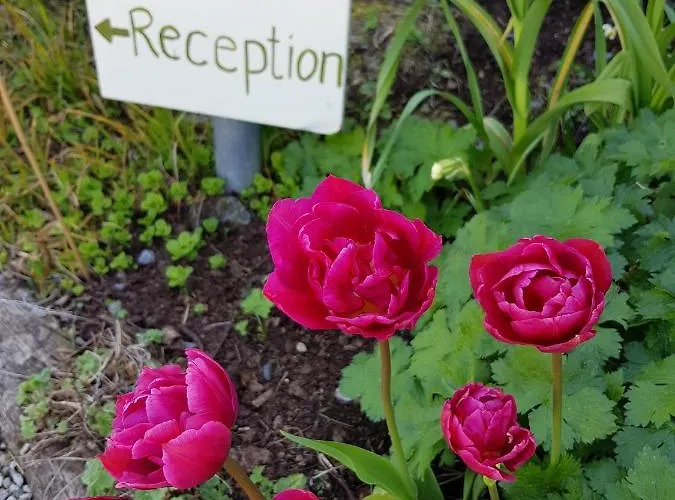 Gregans Castle Otel Ballyvaughan