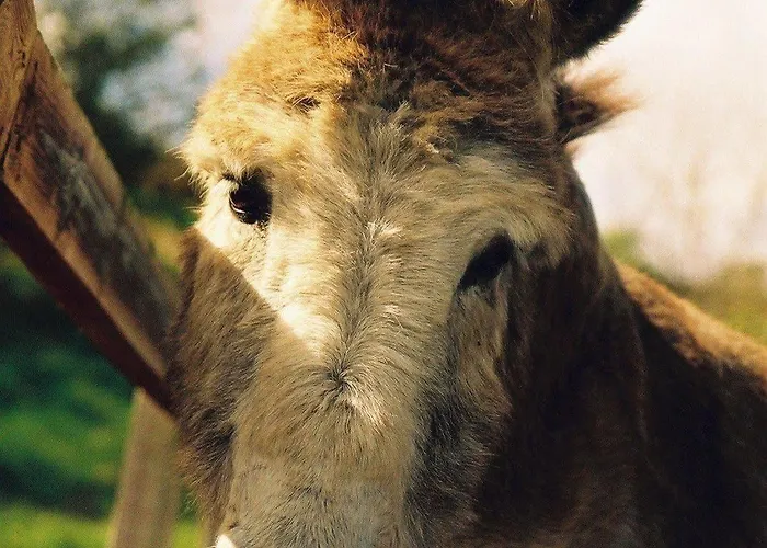 Otel Gregans Castle Ballyvaughan